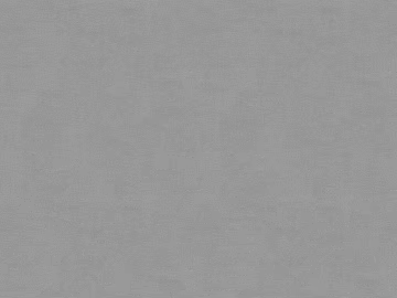 Grey plain latex paint for wall 3d model