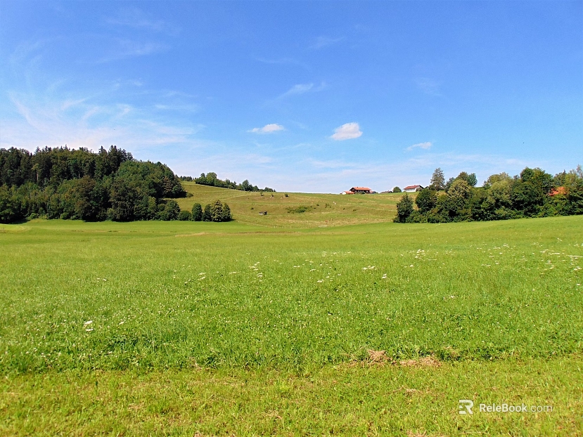Wild Scenery texture