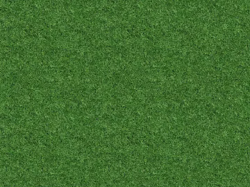 green lawn texture (ID:ffach577456)