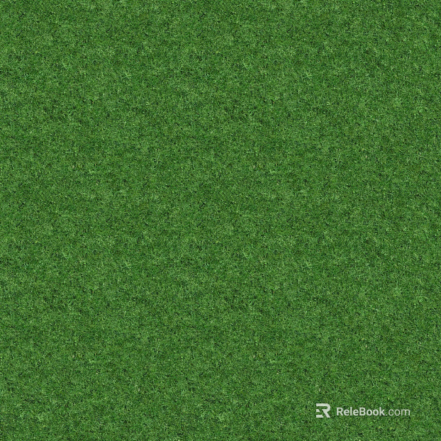 green lawn texture