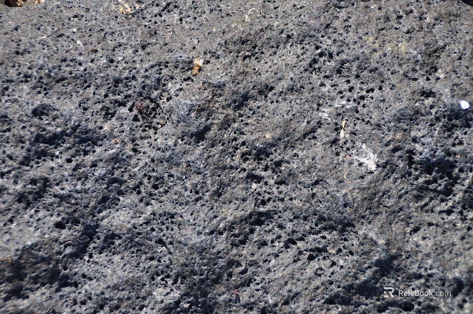 Dongshi texture