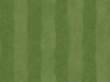 Turf texture (ID:ffaeg08999)