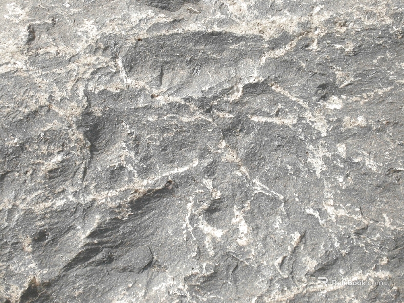 Rock rock lime texture