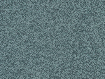 fine grain leather texture (ID:ffajg74651)