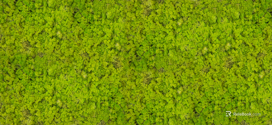 moss texture