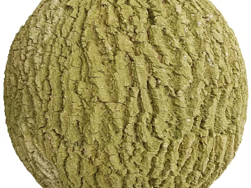 Bark PBR texture (ID:ffach777481)