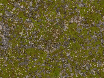 moss texture (ID:ffacg37159)