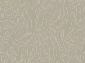 annual ring wood grain texture (ID:ffach873856)