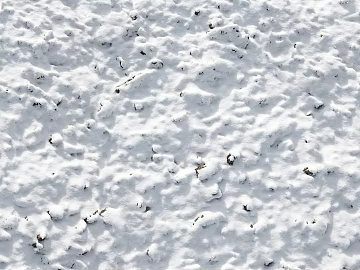 Snow 3d model