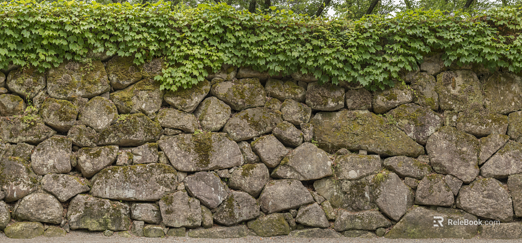 Green Planting on Cultural Stone Wall texture