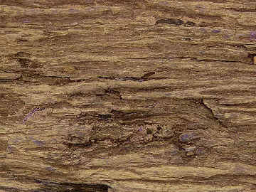 bark texture (ID:ffagf7771)