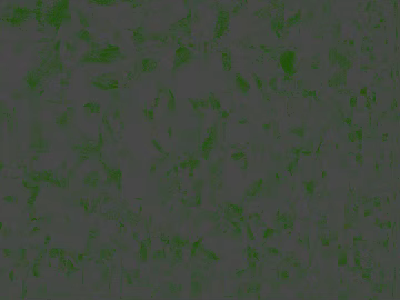 Dark green terrazzo indoor ground texture (ID:ffaeh703889)