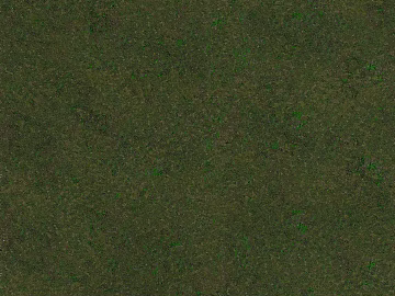 Turf texture (ID:ffajg59883)