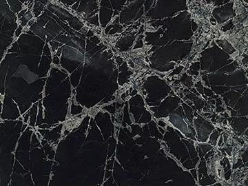 black and white root marble 3d model