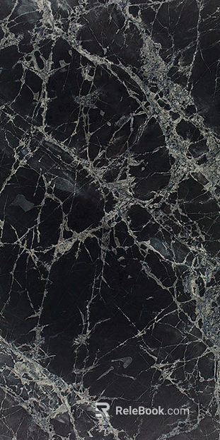 black and white root marble texture