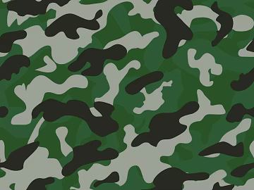 Camouflage texture (ID:ffabg22208)