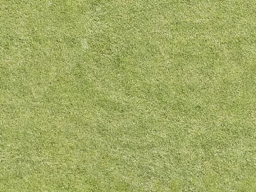 Turf texture (ID:ffajg63349)