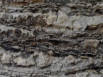 mountain rock wall texture (ID:ffagg73880)