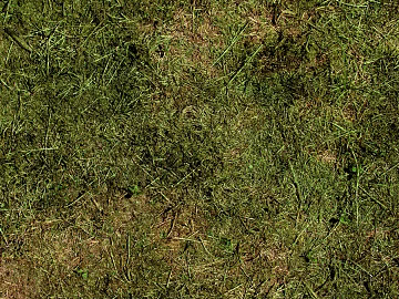 Grassland texture (ID:ffach321506)