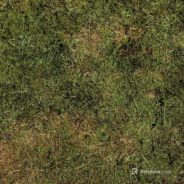 Grassland texture