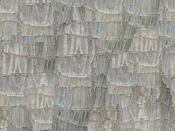 bark texture (ID:ffaeg81449)