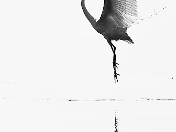 Animal painting texture (ID:ffacg46505)