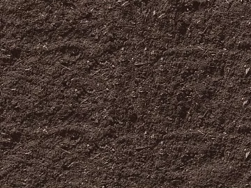 Mud texture (ID:ffajg47684)