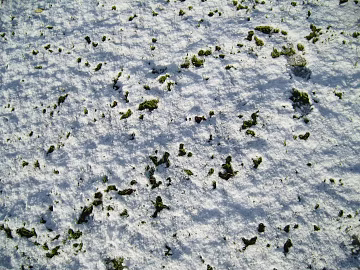 Snow texture (ID:ffabg21279)