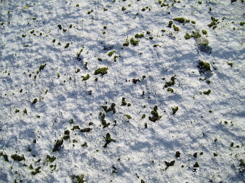 Snow texture