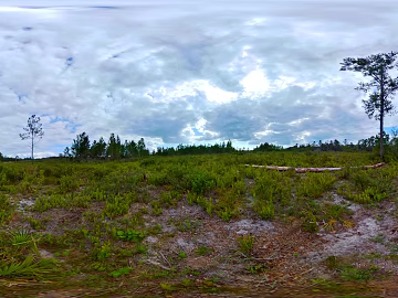 Daytime outdoor HDR texture (ID:ffaeh680501)