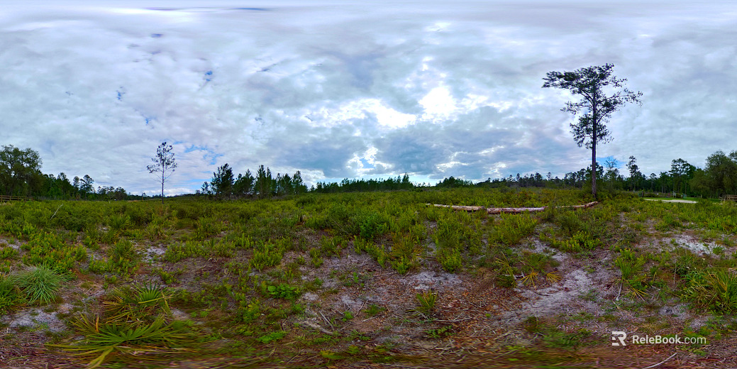 Daytime outdoor HDR texture