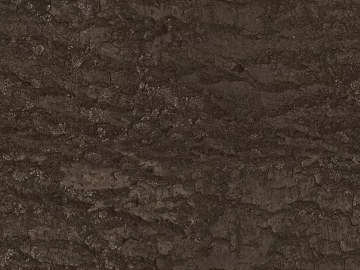 bark texture (ID:ffacg48671)