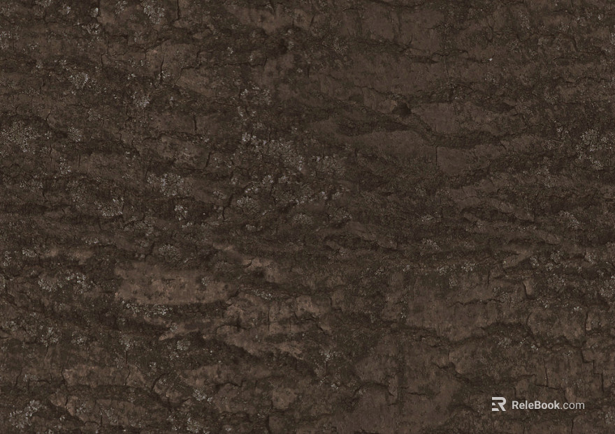 bark texture