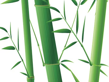 Bamboo texture (ID:ffaeg72284)