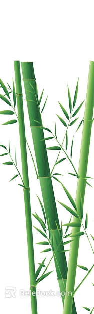 Bamboo texture