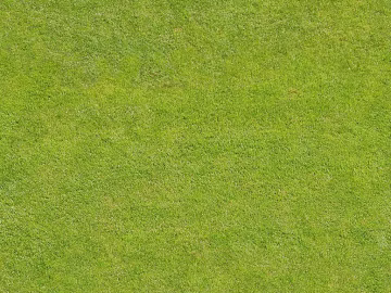 Turf texture (ID:ffacg77747)