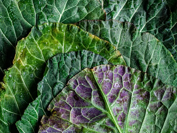 leaves texture (ID:ffabg83227)