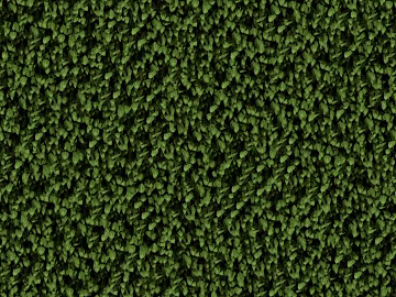 Plants texture (ID:ffagg72657)