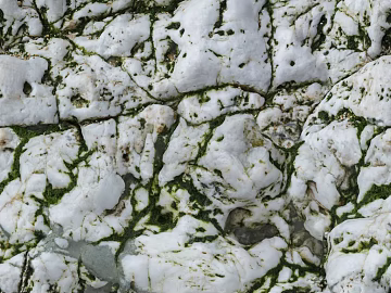 White Green Rock Outdoor Landscape Stone texture (ID:ffaeh881996)