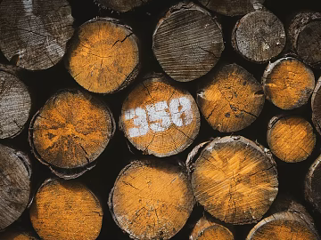 Wood cut texture (ID:ffabg22967)