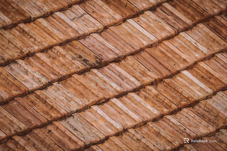 Roof texture