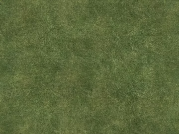 Turf texture (ID:ffajg39200)