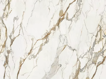 mesh pattern marble fish maw gold marble texture (ID:ffacg18818)