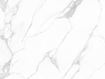 Fish belly white marble 3d model