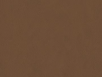 fine grain leather texture (ID:ffaeg96849)