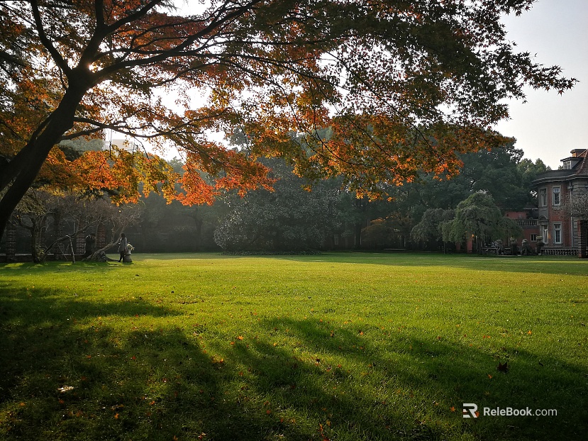 Natural outdoor scenery texture