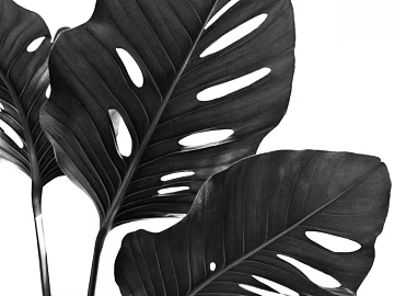 black and white painting texture (ID:ffabg45702)