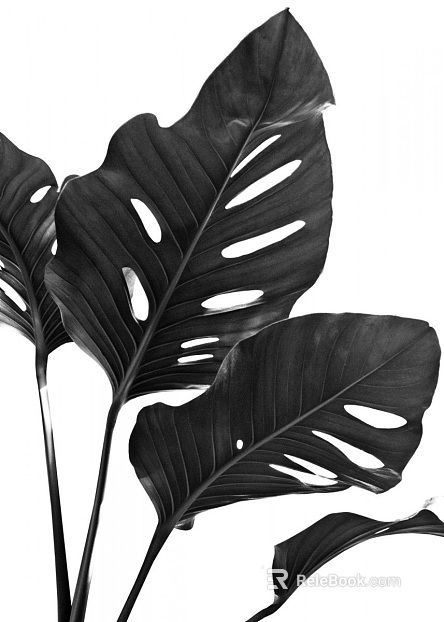 black and white painting texture