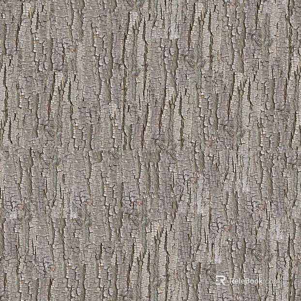 bark texture
