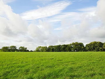 Wild Scenery texture (ID:ffach925910)